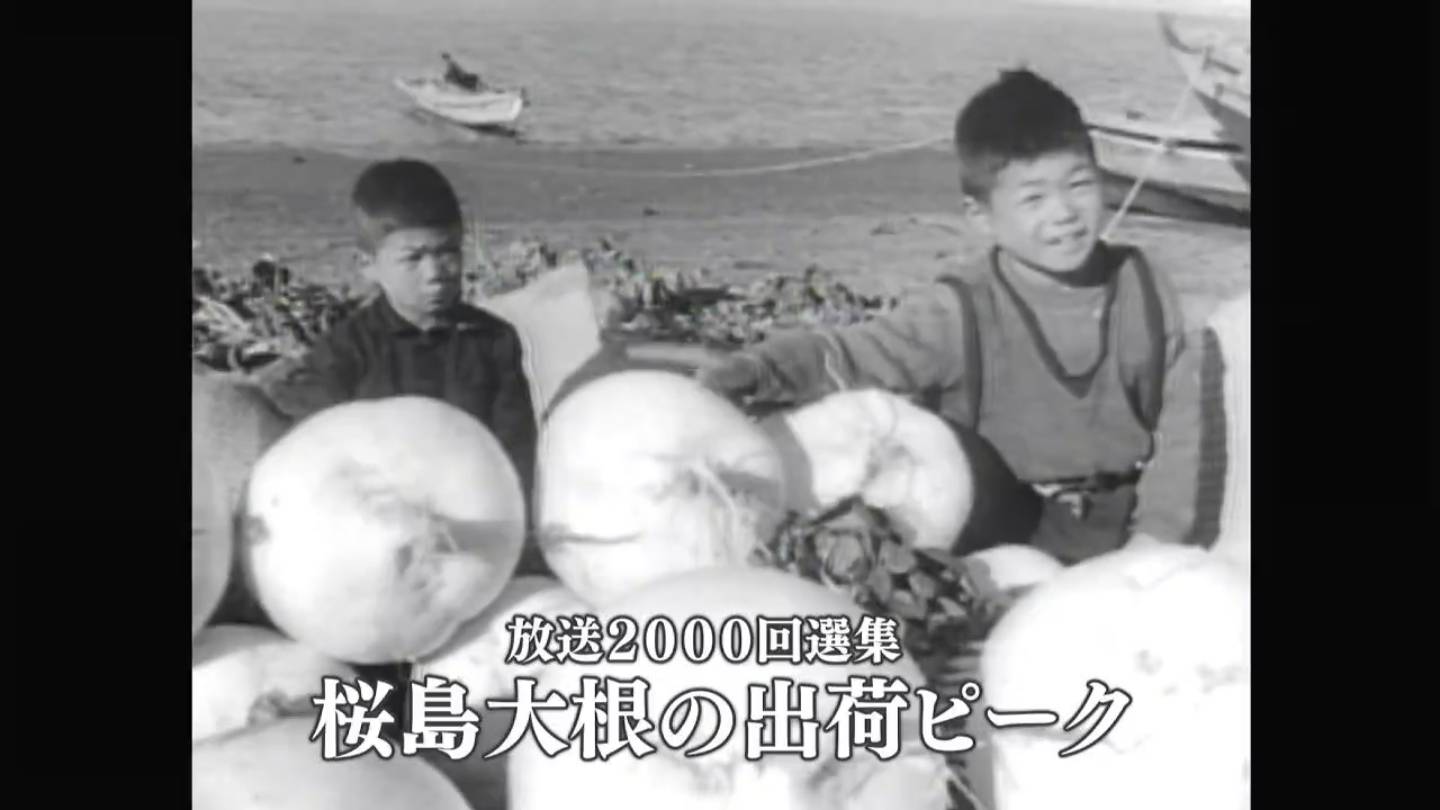 【中古】 623徳島大（’98年度版） 柳瀬美術店 / 中島 宏「青瓷徳利」共箱[NAKAJIMA Hiroshi]Sake Flask