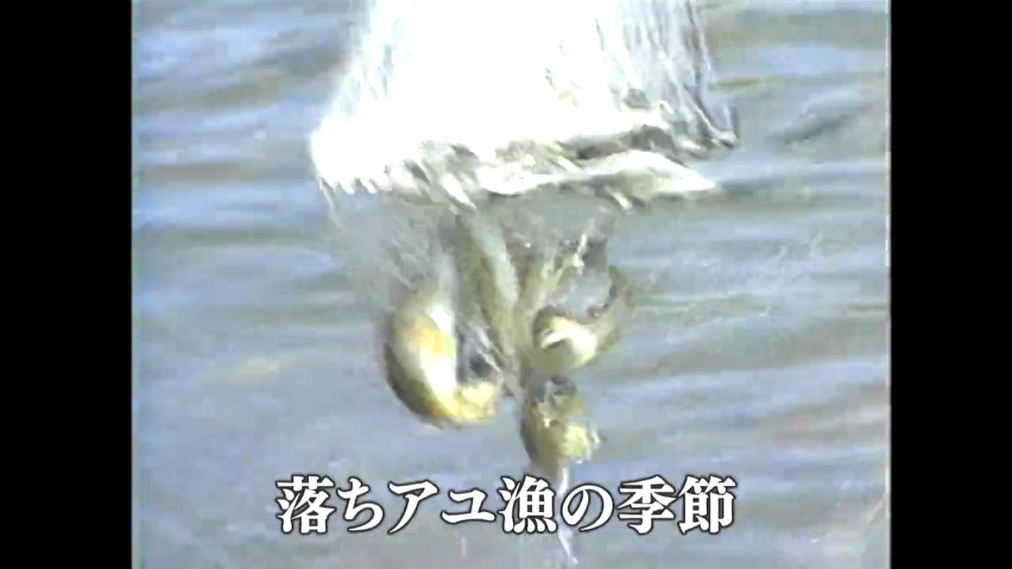落ちアユ漁の季節 樋脇町(1982) あの日のふるさと