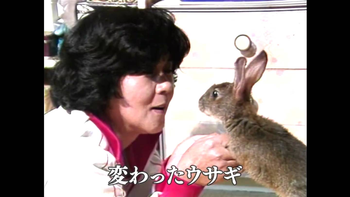 変わったウサギ 出水市（1989） – あの日のふるさと