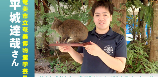 奄美市立奄美博物館学芸員の平城達哉さん。