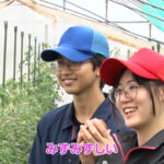 市来農芸高校の農業科・野菜班に注目！フレッシュ青果プレゼンツ『ミライのタネ』