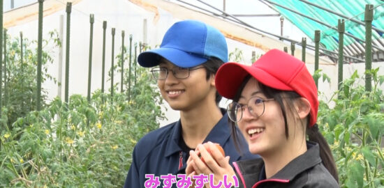 市来農芸高校の農業科・野菜班に注目！フレッシュ青果プレゼンツ『ミライのタネ』