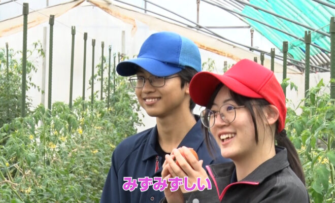 市来農芸高校の農業科・野菜班に注目！フレッシュ青果プレゼンツ『ミライのタネ』