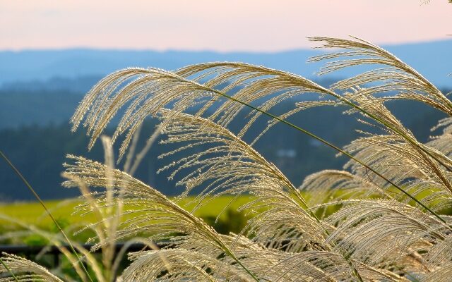 「#15 山頭火」風の歳時記