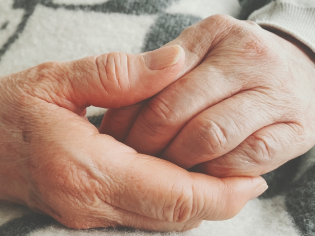 「#13 希林さん」風の歳時記