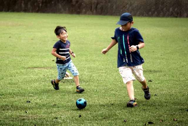 「#4 夏休み」風の歳時記