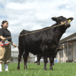 曽於高校のる畜産同好会に注目！フレッシュ青果プレゼンツ『ミライのタネ』