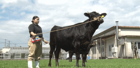 曽於高校のる畜産同好会に注目！フレッシュ青果プレゼンツ『ミライのタネ』