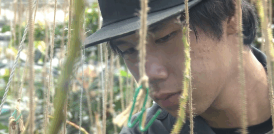 鹿児島県立農業大学校の農学部果樹科に注目！フレッシュ青果プレゼンツ『ミライのタネ』