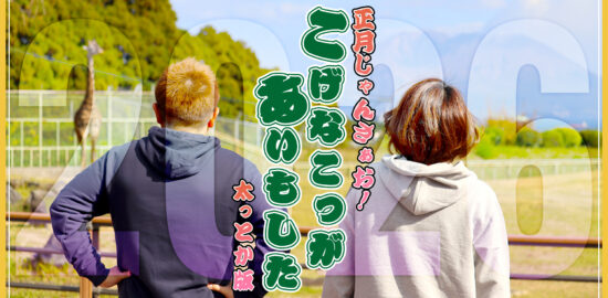 こげなこっがあいもした