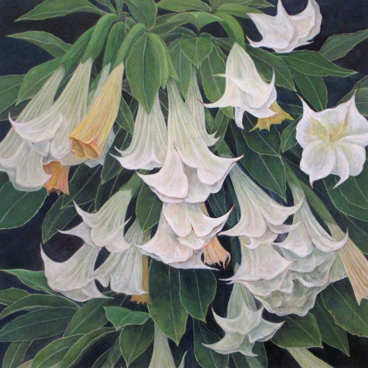 ⑪優秀賞「躍る-ダチュラ-」丸山良二郎