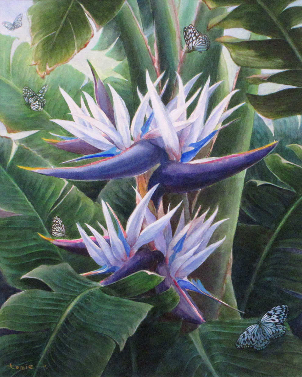 ⑬奨励賞「白い花陰」今村富枝