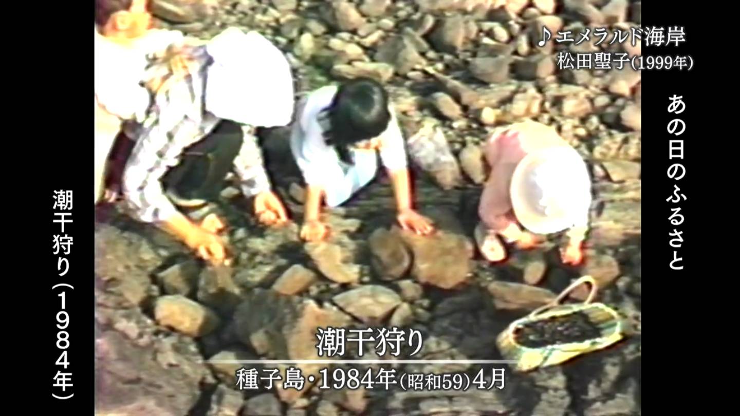 潮干狩り 種子島・旧山川町・旧加世田市・垂水市（1984・1979） | MBC