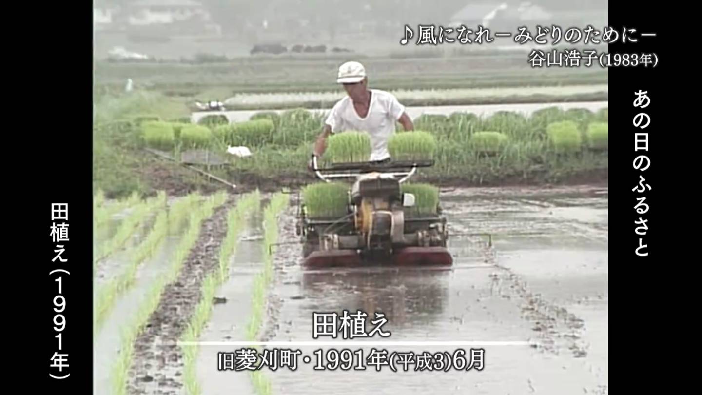 田植え 旧菱刈町・旧吉田町・鹿児島市（1991・1983・1978） | MBCブログ