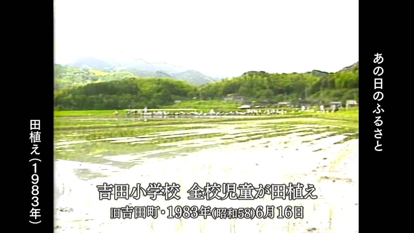 田植え 旧菱刈町・旧吉田町・鹿児島市（1991・1983・1978） | MBCブログ