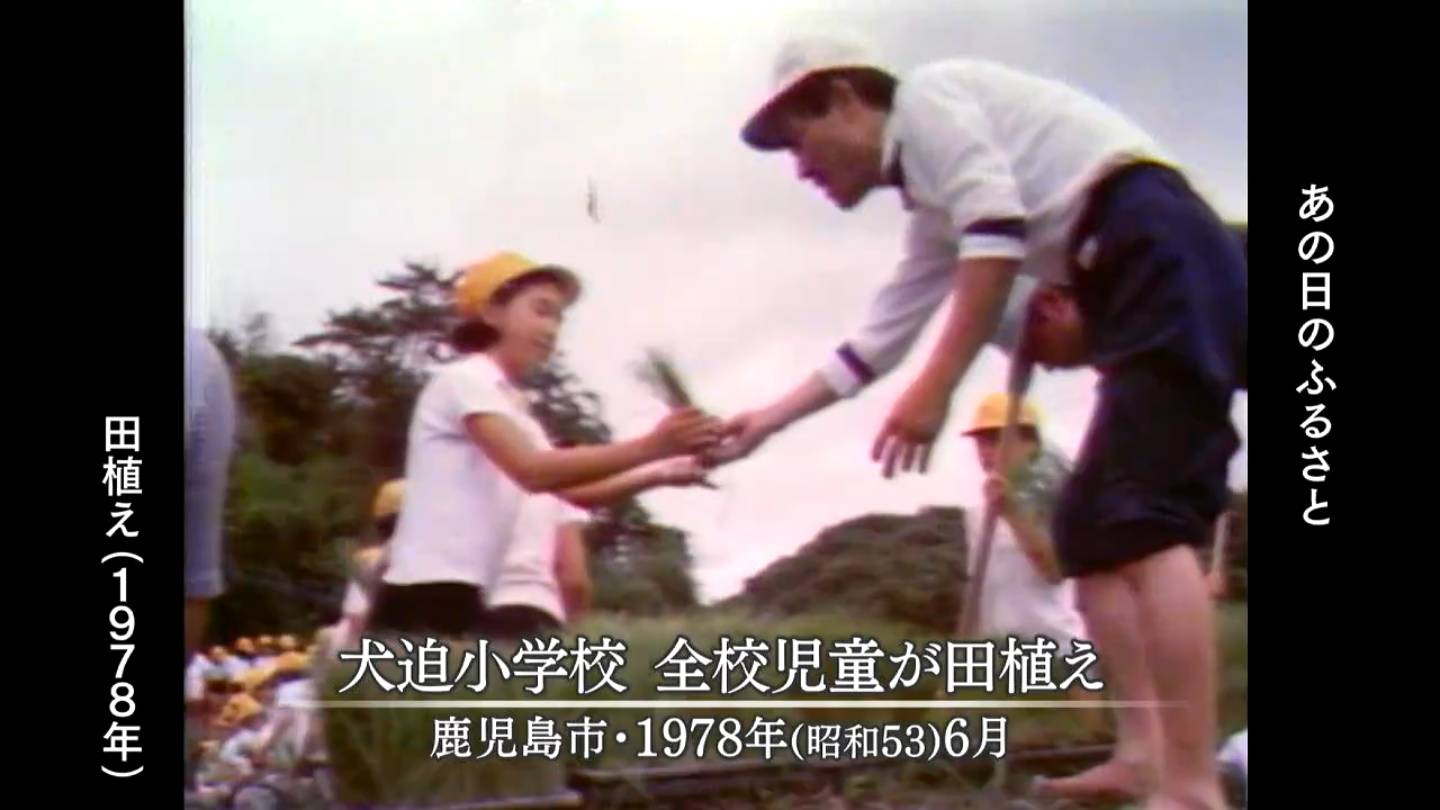 田植え 旧菱刈町・旧吉田町・鹿児島市（1991・1983・1978） | MBCブログ