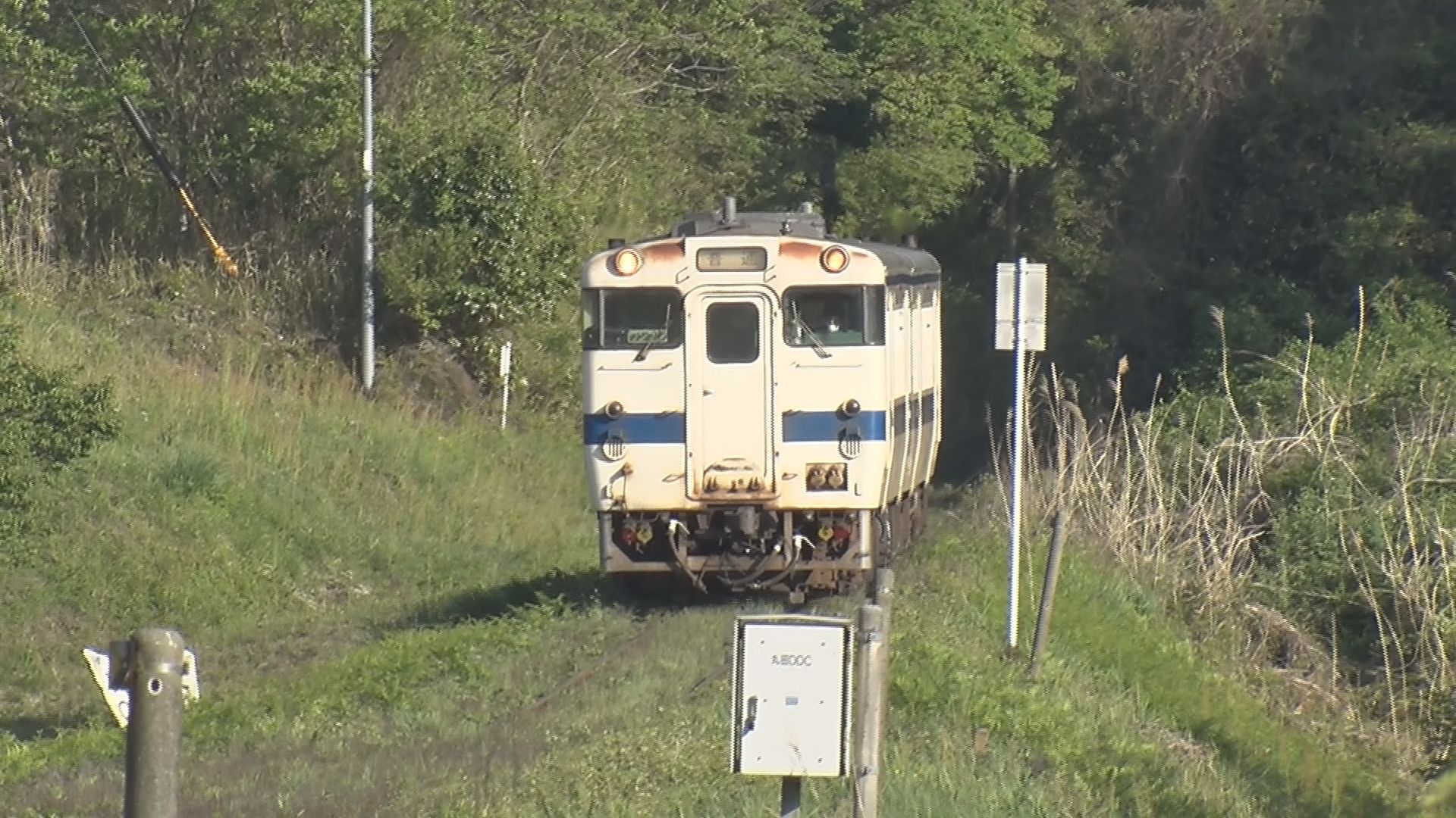 国鉄 肥薩線 急行やたけ サボ 国鉄 肥薩線 急行やたけ サボ 国鉄 肥