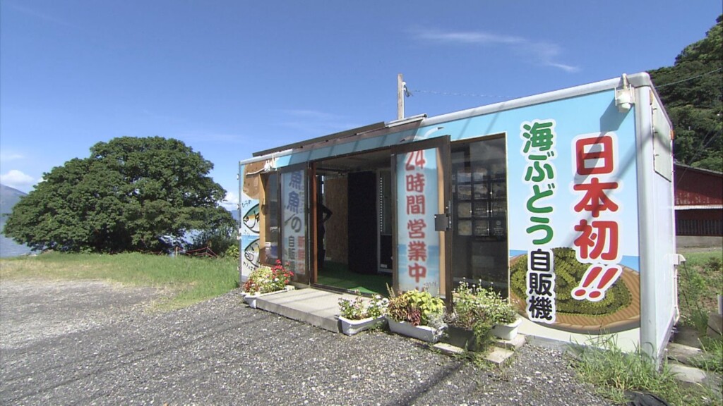 海ぶどうと魚の自販機（森水産）