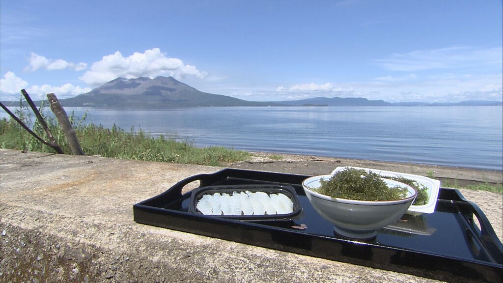 海ぶどうと魚の自販機（森水産）