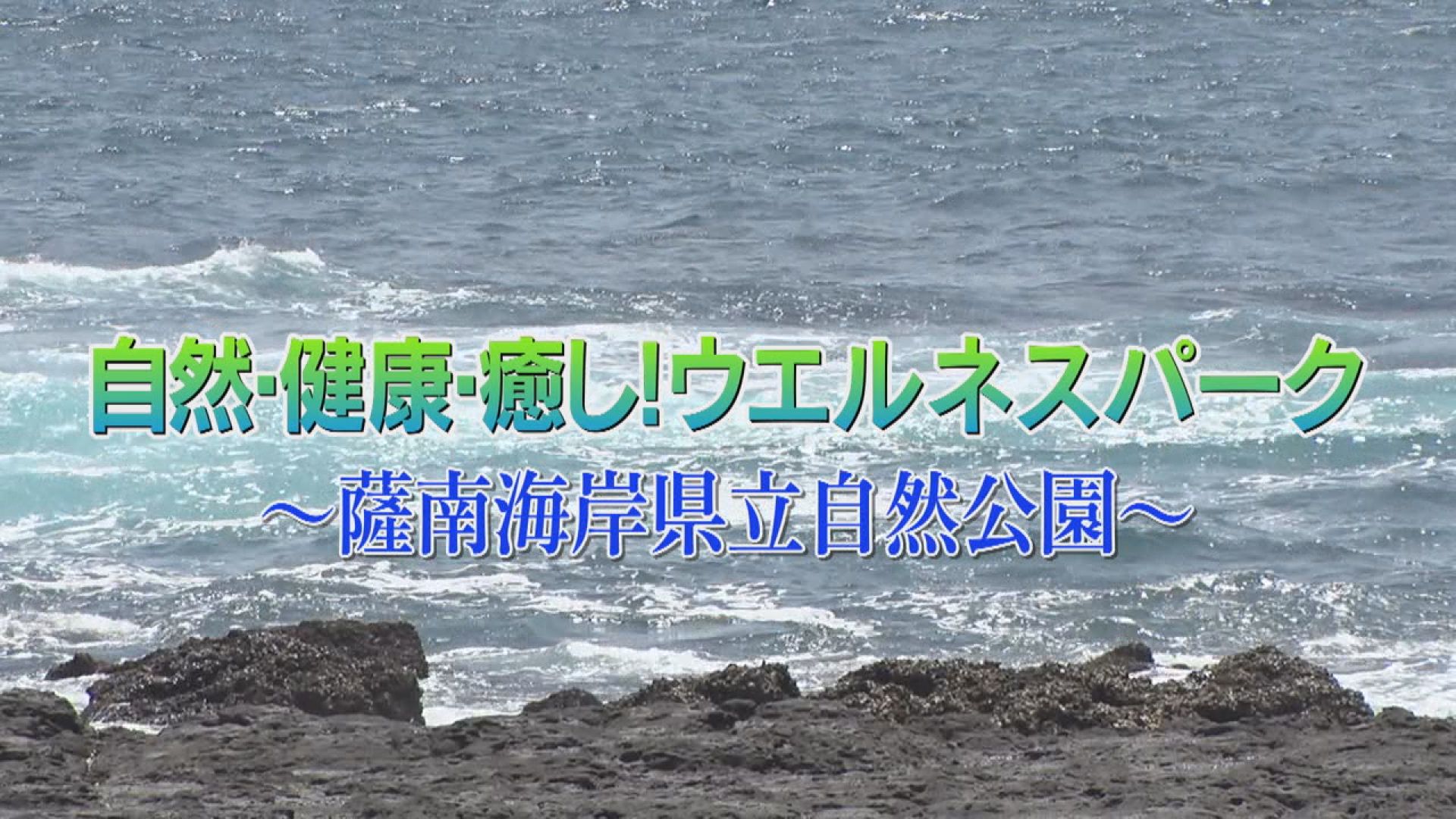 自然 健康 癒し ウェルネスパーク 薩南海岸県立自然公園 ふるさとかごしま