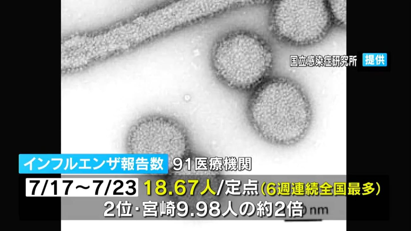 インフルエンザ感染者6週連続で全国最多 新型コロナも増加続く「夏休み