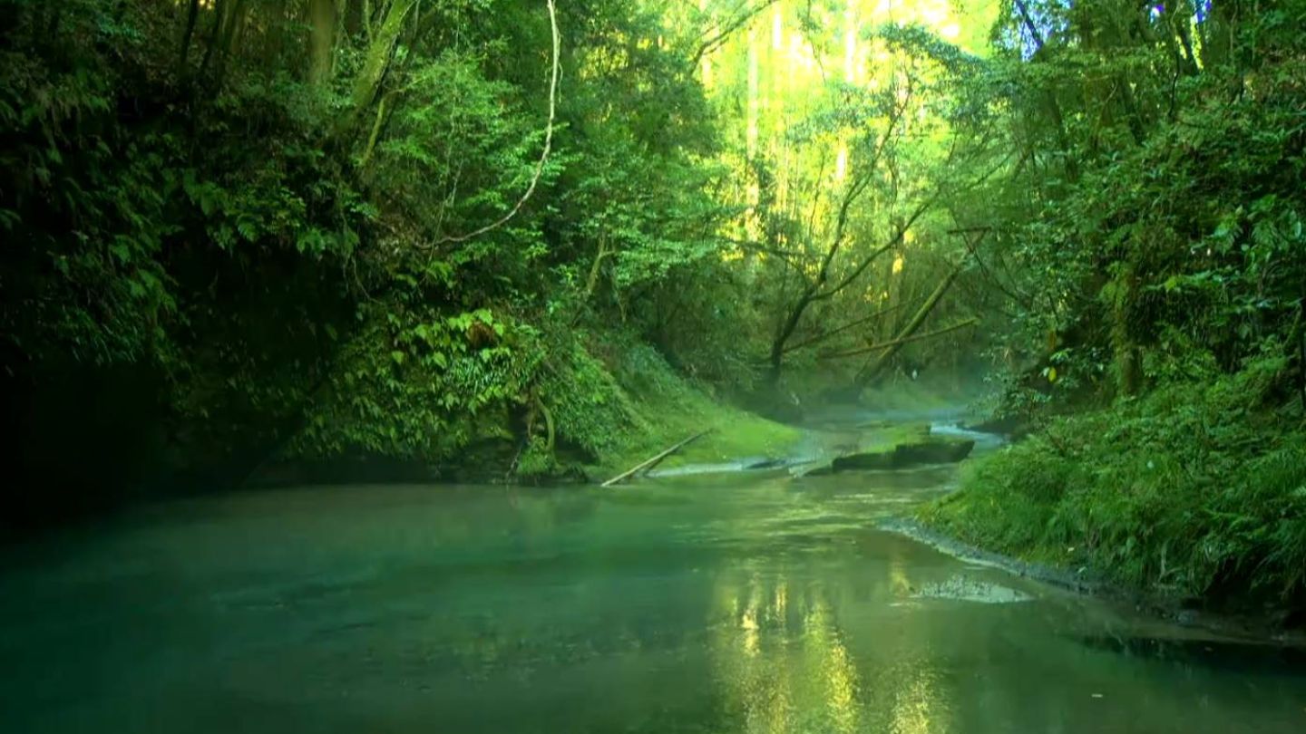 鹿児島県霧島市水の奇麗な水温できています。 【公式通販】