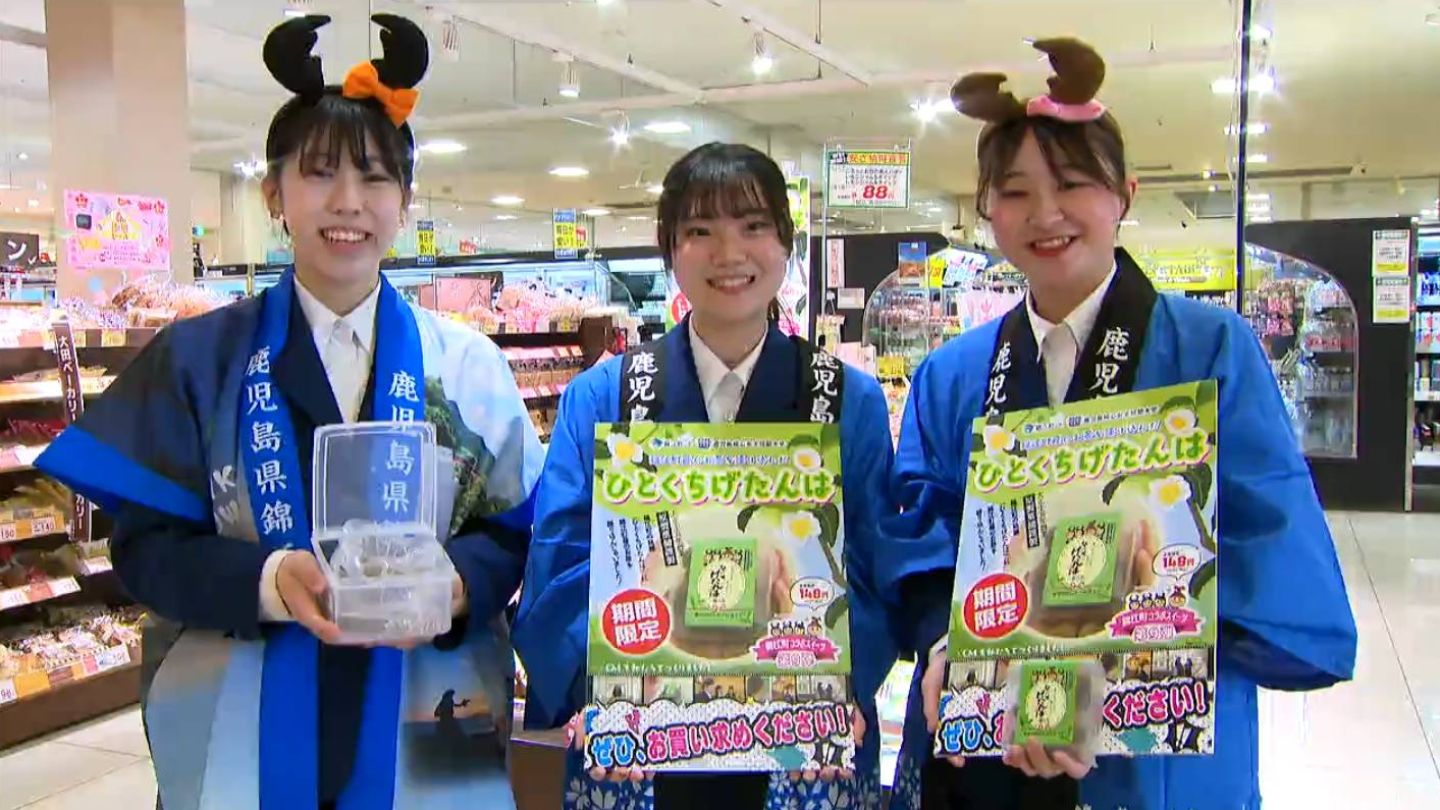 箱入り新品あり　デパコス　まとめ売り 特産品の茶を練り込んだ「ひとくちげたんは」を開発 錦江町×短大生