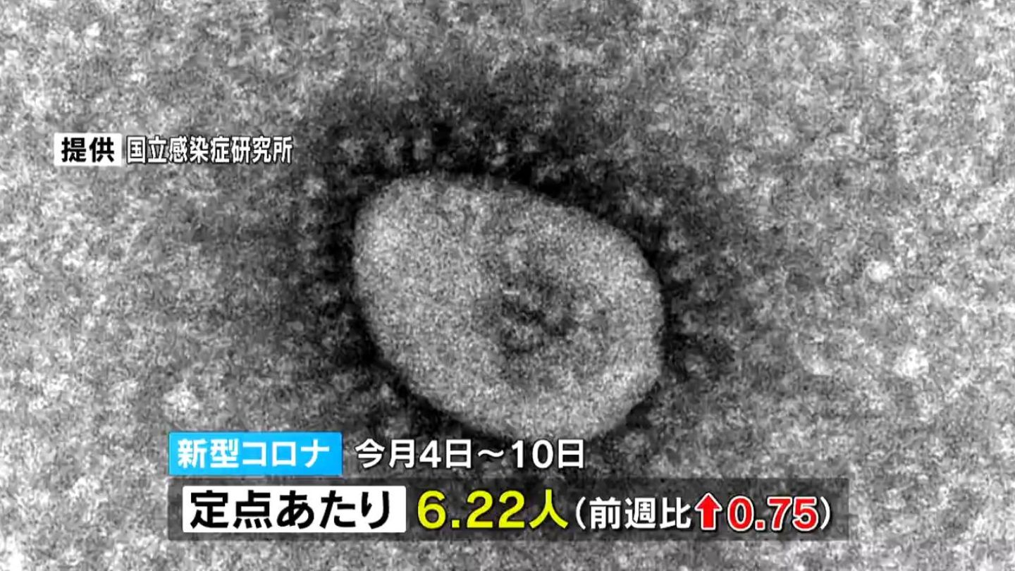 新型コロナ5週ぶり・インフル4週ぶり増加 溶連菌4〜6歳が半数