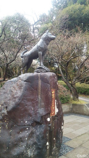西郷さんの愛犬「ツン」の銅像が、藤川天神の参道脇に建っています♪
