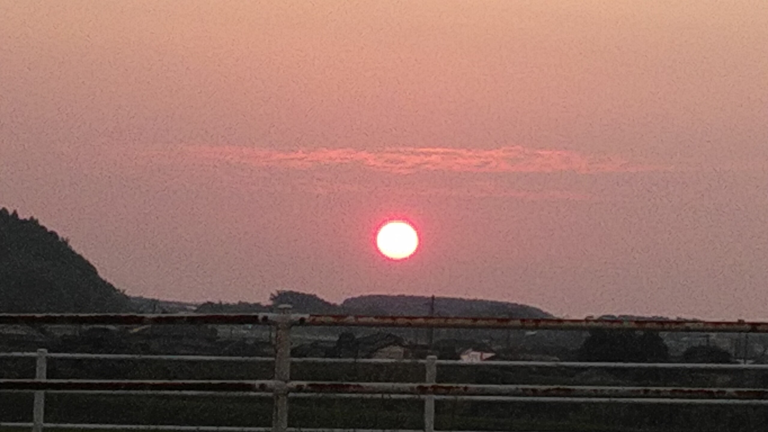 夕日 たんぽぽ倶楽部