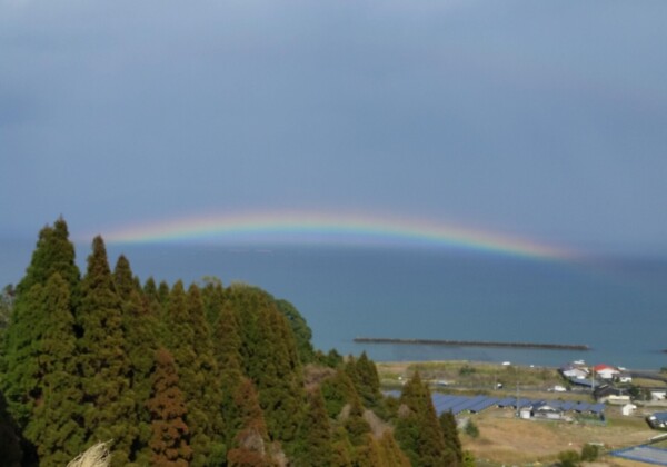 大きな虹