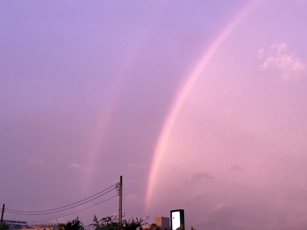 綺麗な虹