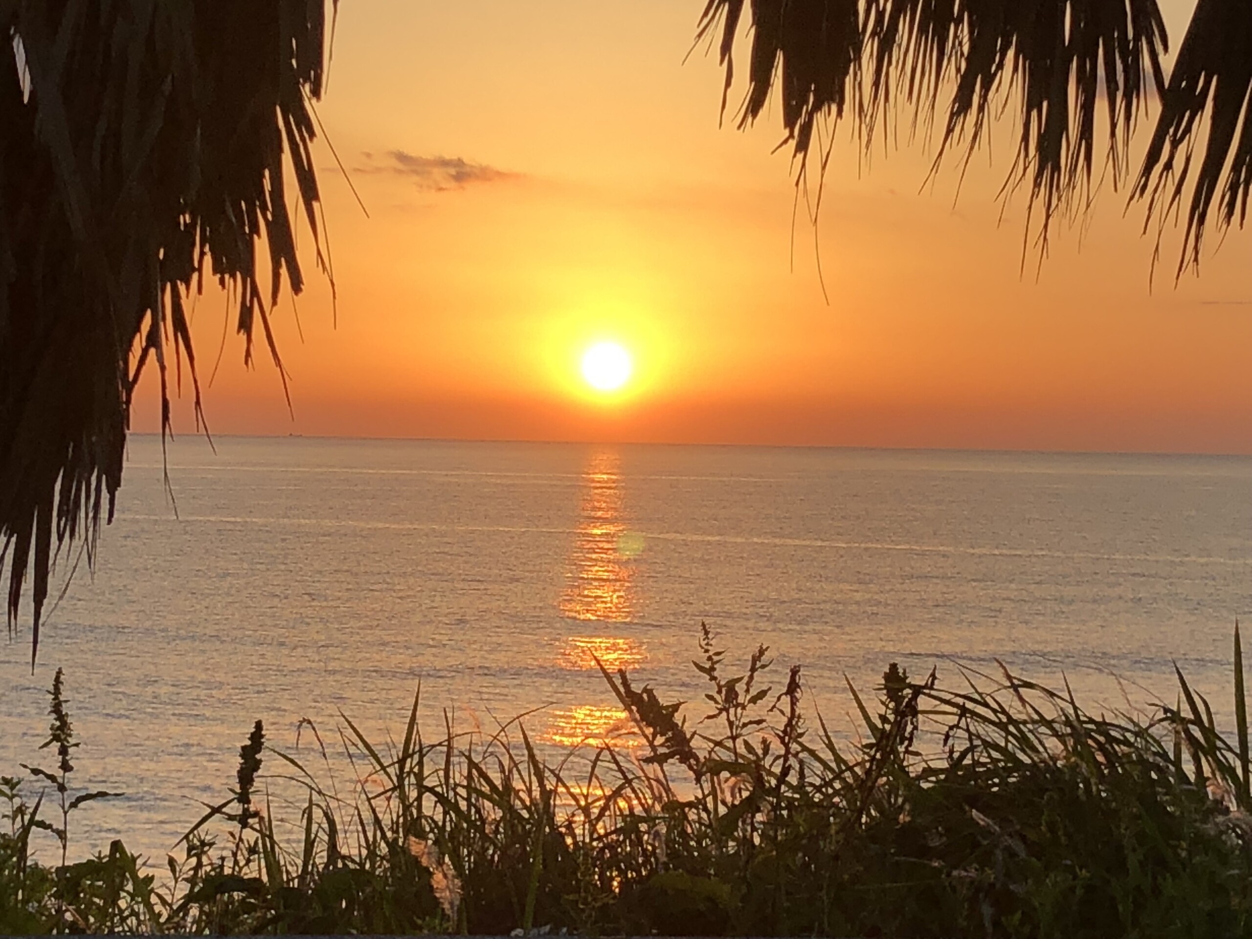 鹿児島ページ テーマは「海と鹿児島」 – MBCブログ