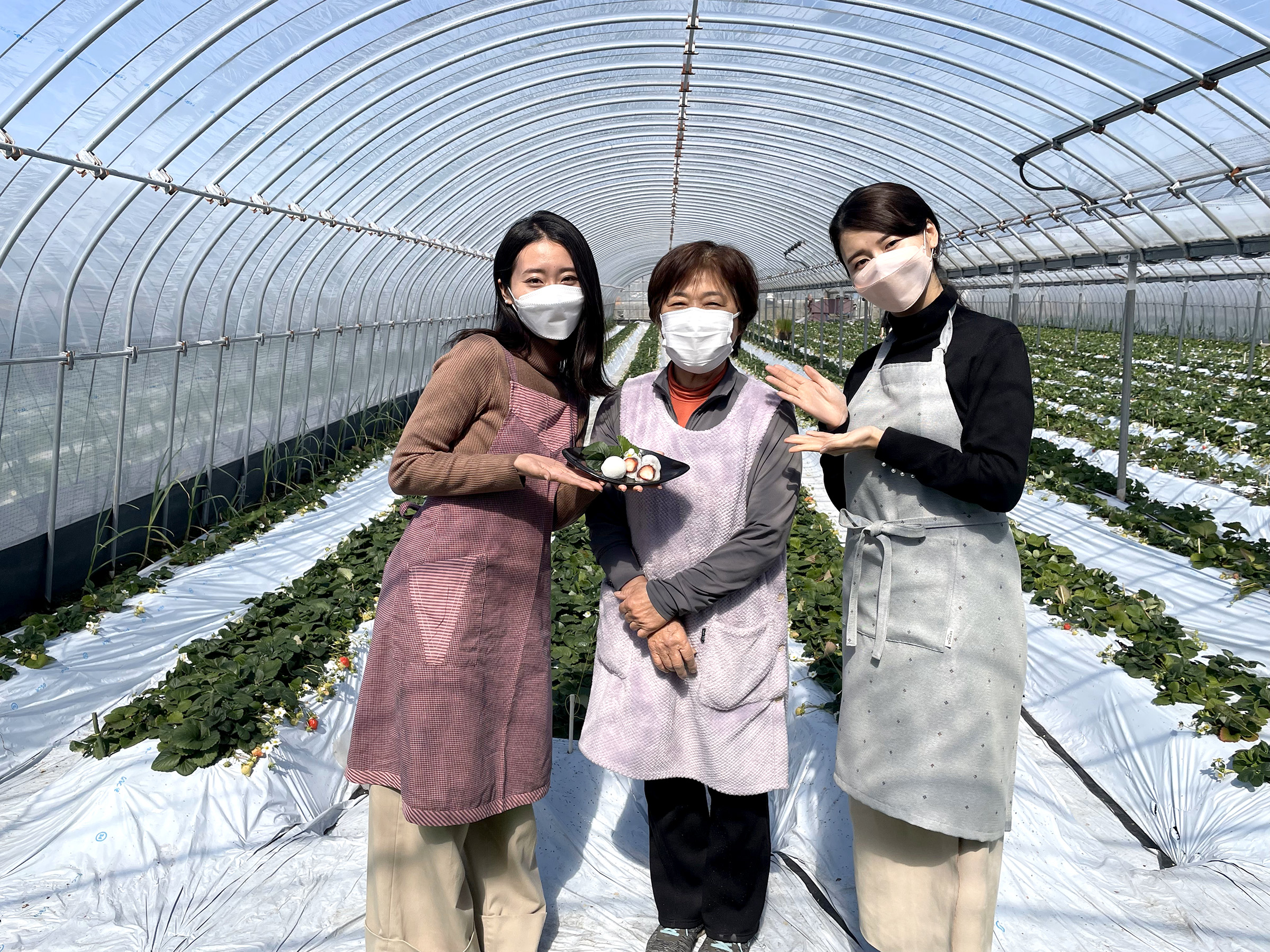 4aa599c055bd527965736d43689536